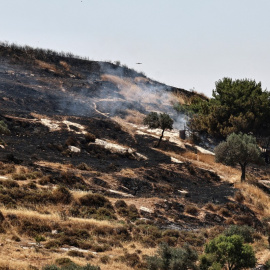 Una zona de la aldea de Taybeh, en la Cisjordania ocupada, tras ser quemada por colonos israelíes