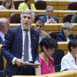 Fernando Grande-Marlaska, Ministro del Interior, durante una sesión de control al Gobierno, en el Senado, a 9 de junio de 2026, en Madrid (España).