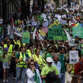 Profesores de la educación pública no universitaria durante una manifestación, a 11 de mayo de 2026, en València.