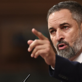 El presidente de Vox, Santiago Abascal, interviene durante una sesión plenaria en el Congreso de los Diputados, a 24 de junio de 2026, en Madrid (España).