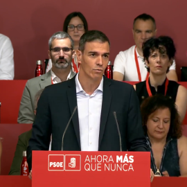 Sigue aquí la intervención de Pedro Sánchez en el Comité Federal