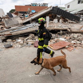 Un rescatista colombiano junto a su perro realiza labores de búsqueda de personas desaparecidas en una zona afectada por los terremotos, en Catia La Mar (Venezuela)