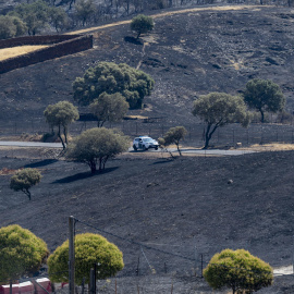 El incendio forestal declarado en la pedanía de Huertezuelas, en el término municipal de Calzada de Calatrava (Ciudad Real).
