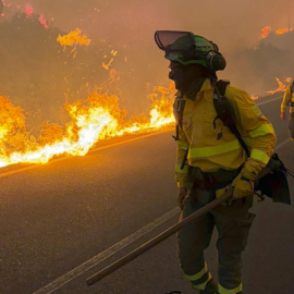 Bomberos en el incendio forestal que azota al municipio de Los Gallardos