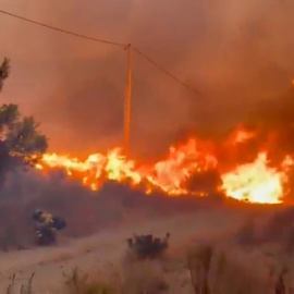 Incendio en Los Gallardos (Almería).