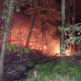 Incendio en el Bosque de Fontainebleau, a 60 kilómetros de París.