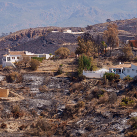 Imágenes de la zona afectada por el incendio de Los Gallardos, Almería.