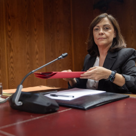 La gerente del PSOE, Ana María Fuentes, en el Senado el pasado 23 de octubre.