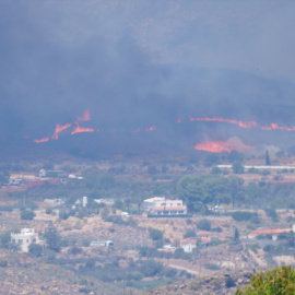 Imagen del incendio forestal declarado en la zona de los Gallardos (Almería).