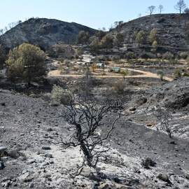 Vista del área calcinada en el municipio almeriense de Bédar.