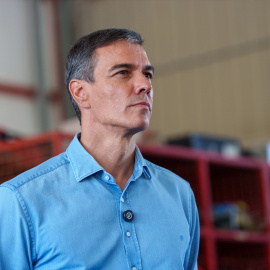 El presidente del Gobierno, Pedro Sánchez.