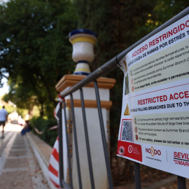 Aviso de riesgo de desprendimiento de ramas en los Jardines de Murillo por las altas temperaturas, el pasado día 5 en Sevilla.