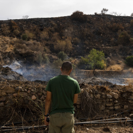 Zonas afectadas por el incendio forestal de Los Gallardos (Almería).