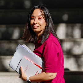 La directora de la Guardia Civil, Mercedes González Fernández, a su llegada para declarar ante el juez de la Audiencia Nacional Santiago Pedraz.