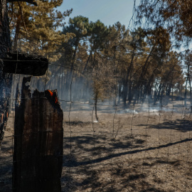 Vista de la zona quemada por el incendio forestal declarado en Lozoyuela
