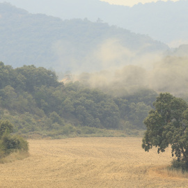 El incendio forestal de Orés, este viernes.