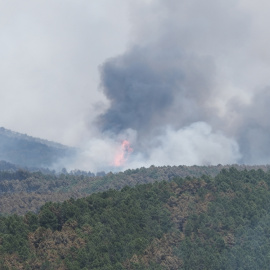 El incendio en La Mierla (Guadalajara), este sábado.