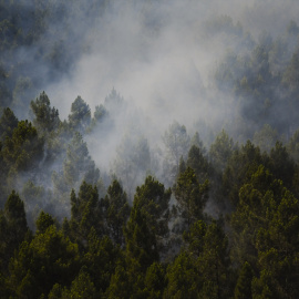incendio-foresta