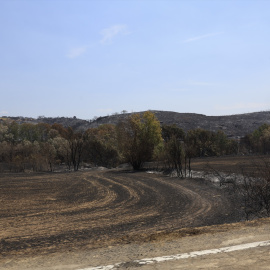 Extensión de terreno quemada durante un incendio forestal en Zaragoza.