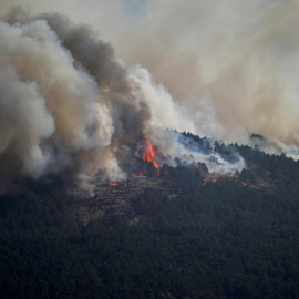 El humo asciende en el incendio de La Mierla en Condemios de Arriba, Guadalajara, a 22 de julio de 2026.