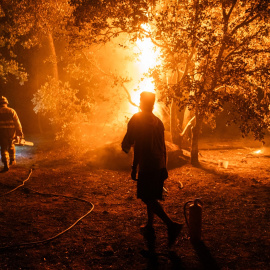 Varias personas trabajando en la extinción del fuego en La Adrada (Ávila).