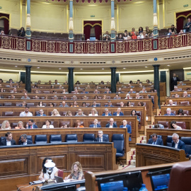 Varios diputados durante la celebración de una sesión extraordinaria del Pleno del Congreso de los Diputados.