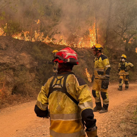 Bomberos en el incendio de Ávila, a 27 de julio de 2026.