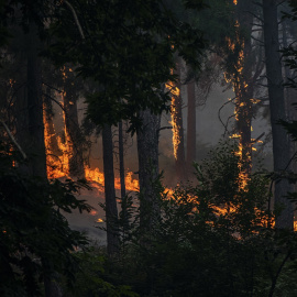 Vista del incendio cerca de la Charca de la Nieta, a 26 de julio de 2026, en Piedralaves, Ávila.