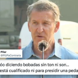 Reacciones a las palabras de Alberto Núñez Feijóo sobre los incendios.