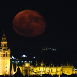 luna-ciervo-cuando-es