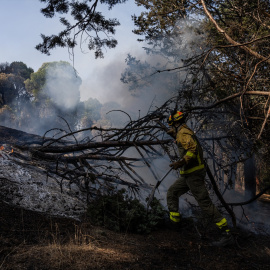 Un bombero trabaja en las tareas de extinción del incendio forestal en la Sierra Oeste de Madrid.