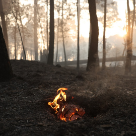 Una llama en el incendio forestal de Casavieja, a 29 de julio de 2026, en Ávila.