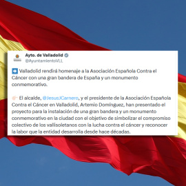 Valladolid bandera de España