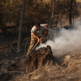 Un hombre trata de apagar lo que queda de fuego en el incendio forestal del incendio de Ávila, en una imagen de archivo.