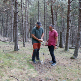 Àngel Ponce i Juan Martínez de Aragón inspeccionant una de les parcel·les que el CTFC gestiona a Meranges