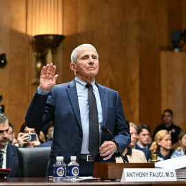 El Dr. Anthony Fauci presta juramento durante una audiencia del Comité de Seguridad Nacional y Asuntos Gubernamentales del Senado en el Capitolio, en Washington D.C (29/07/26)