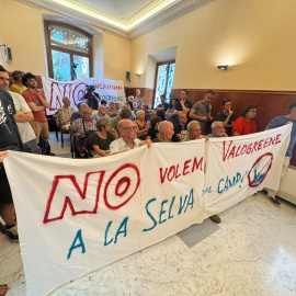 Protesta de la plataforma contrària a la instal·lació de Valogreene a la Selva del Camp durant un ple de l'Ajuntament