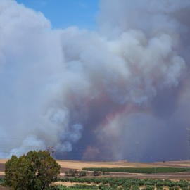 El fuego de Niebla (Huelva) este domingo 9 de agosto.