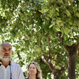 El vicesecretario de Política Autonómica, Municipal y Análisis Electoral del PP, Elías Bendodo, comparece ante los medios en Málaga para tratar asuntos de actualidad (06/8/2026)