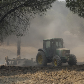 Maquinaria pesada realiza cortafuegos por el incendio de Niebla.