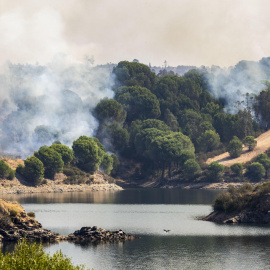 El incendio junto al embalse del Corumbel Bajo en La Palma del Condado, Huelva, a 12 de agosto de 2026.