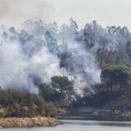 Incendio junto al embalse del Corumbel Bajo en La Palma del Condado, Huelva, a 12 de agosto de 2026.