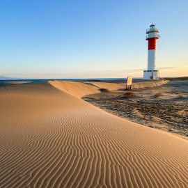 Dunes al Far del Fangar del Delta de l'Ebre