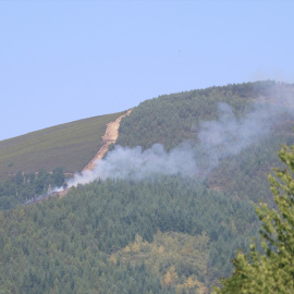 Columna de humo provocada por un incendio forestal.