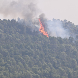 EuropaPress_7713853_llamas_humo_labores_extincion_incendio_forestal_14_agosto_2026_penas_riglos