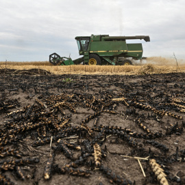 2026-07-24T065544Z_1951280655_RC2KJMA6PY2A_RTRMADP_3_UKRAINE-CRISIS-GRAINS