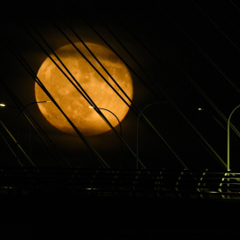 luna-esturión