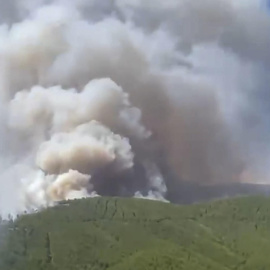 El fuego de Pinofranqueado (Cáceres).