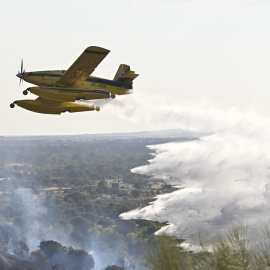 Labores de extinción del incendio en Aldea del Fresno, a 19 de agosto de 2026.