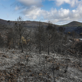 El incendio de Segorbe, este sábado.